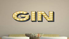 Gin